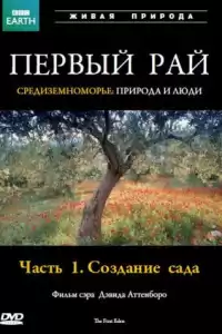 Первый Рай ( тв шоу)